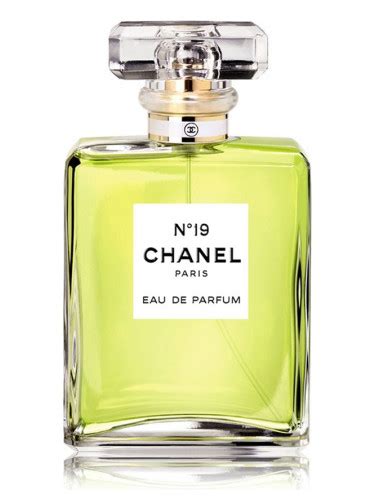 chanel 19 eau de parfum 100ml prix|Chanel 19 perfume price.